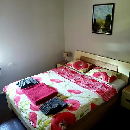 Hébergement de vacances Dvor Donja Toponica