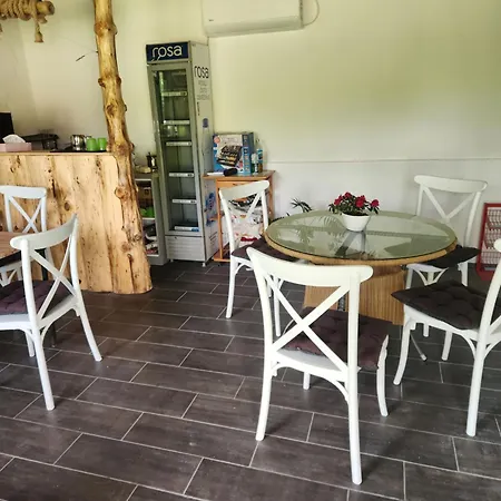 Dvor Hébergement de vacances Donja Toponica